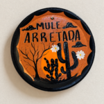 PRATO NORDESTINO "MULÉ ARRETADA"